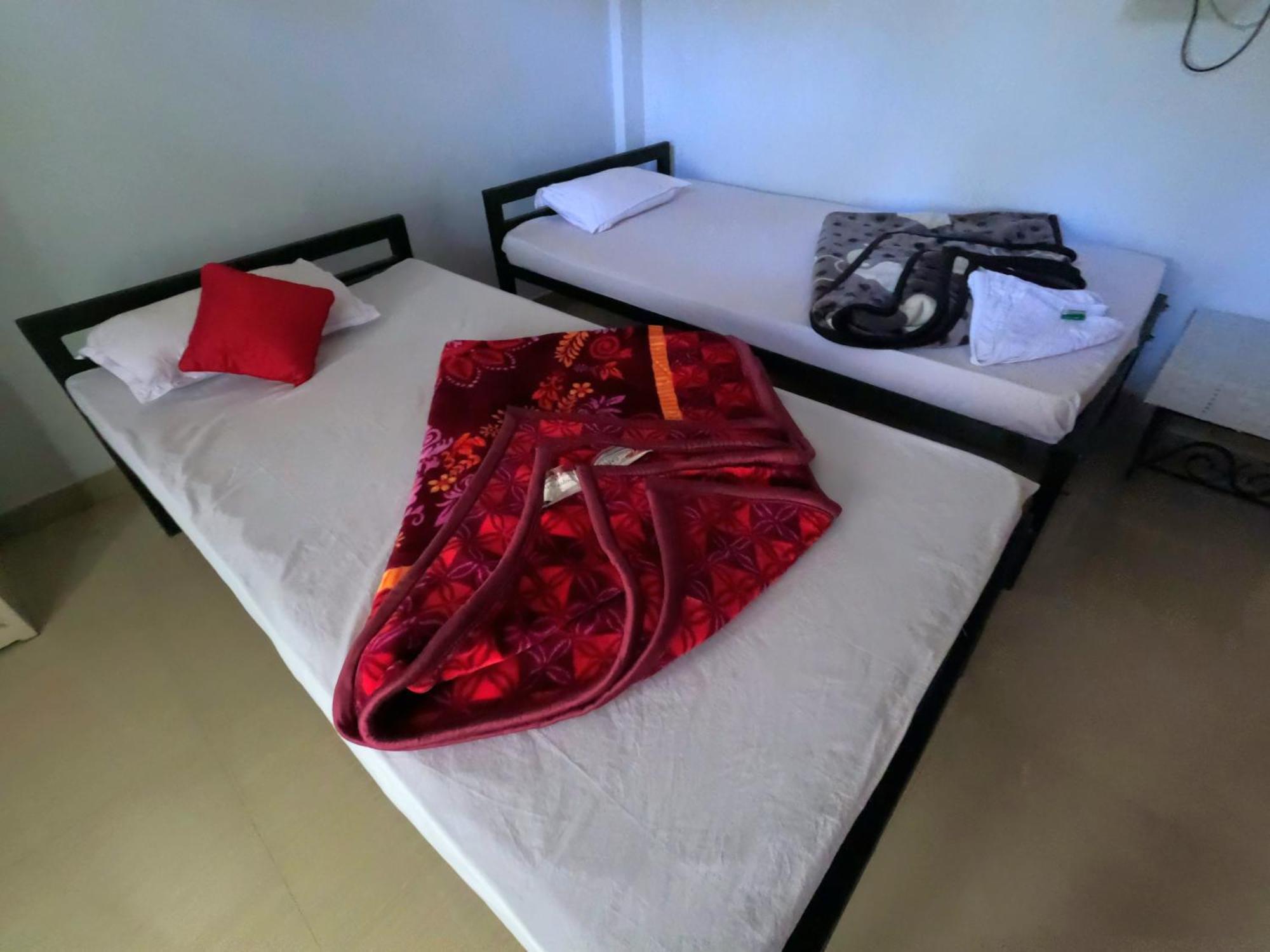 Kareng Party Camp N Homestay Kāziranga 外观 照片
